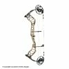 Bear Archery 2022 Bear Whitetail Legend Pro Compound Bow