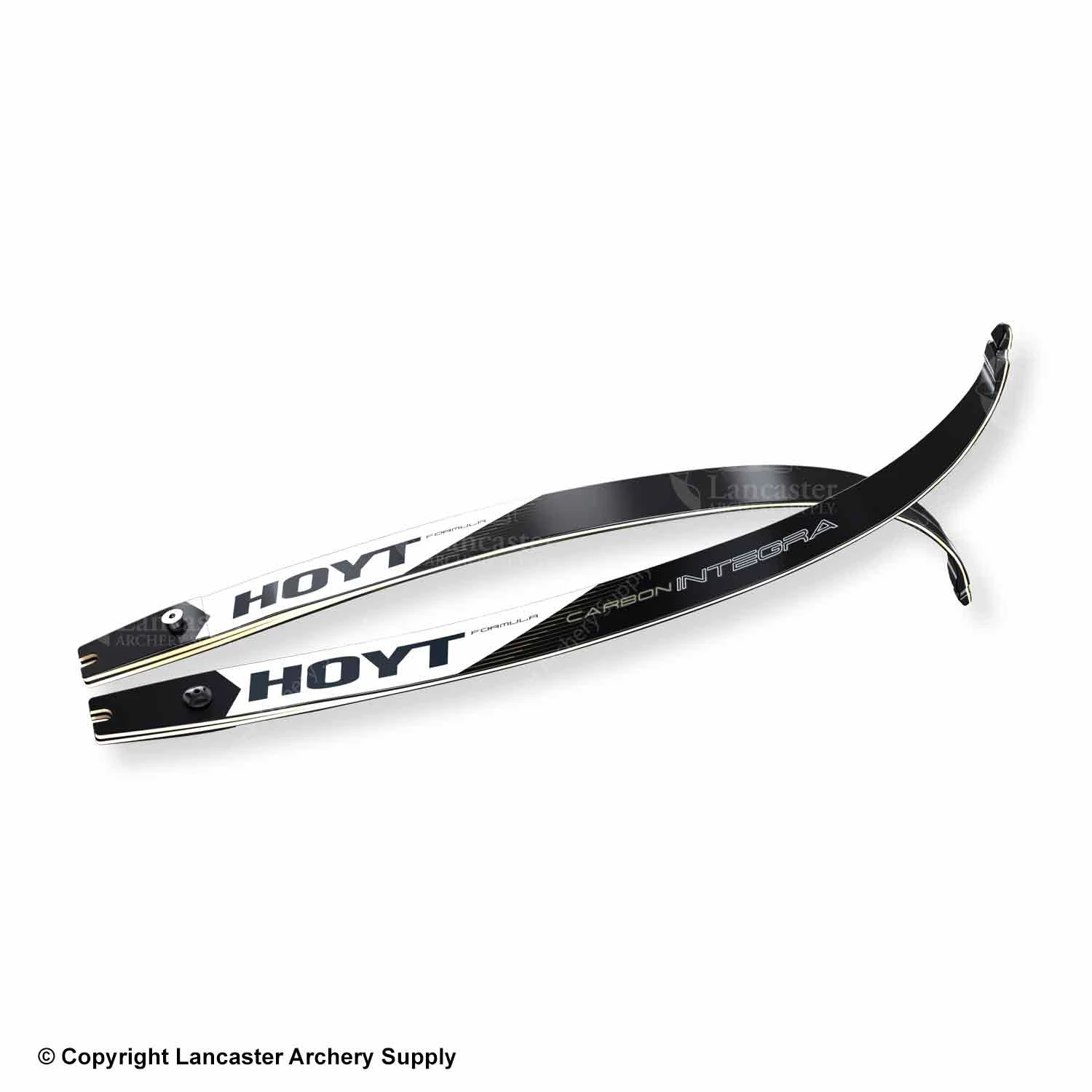 Hoyt Carbon Integra Formula Target Recurve Limb (Matte Finish)