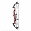 Hoyt Stratos 40 Compound Target Bow (HBT)