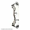 Bear Archery Bear Execute 32 Compound Hunting Bow