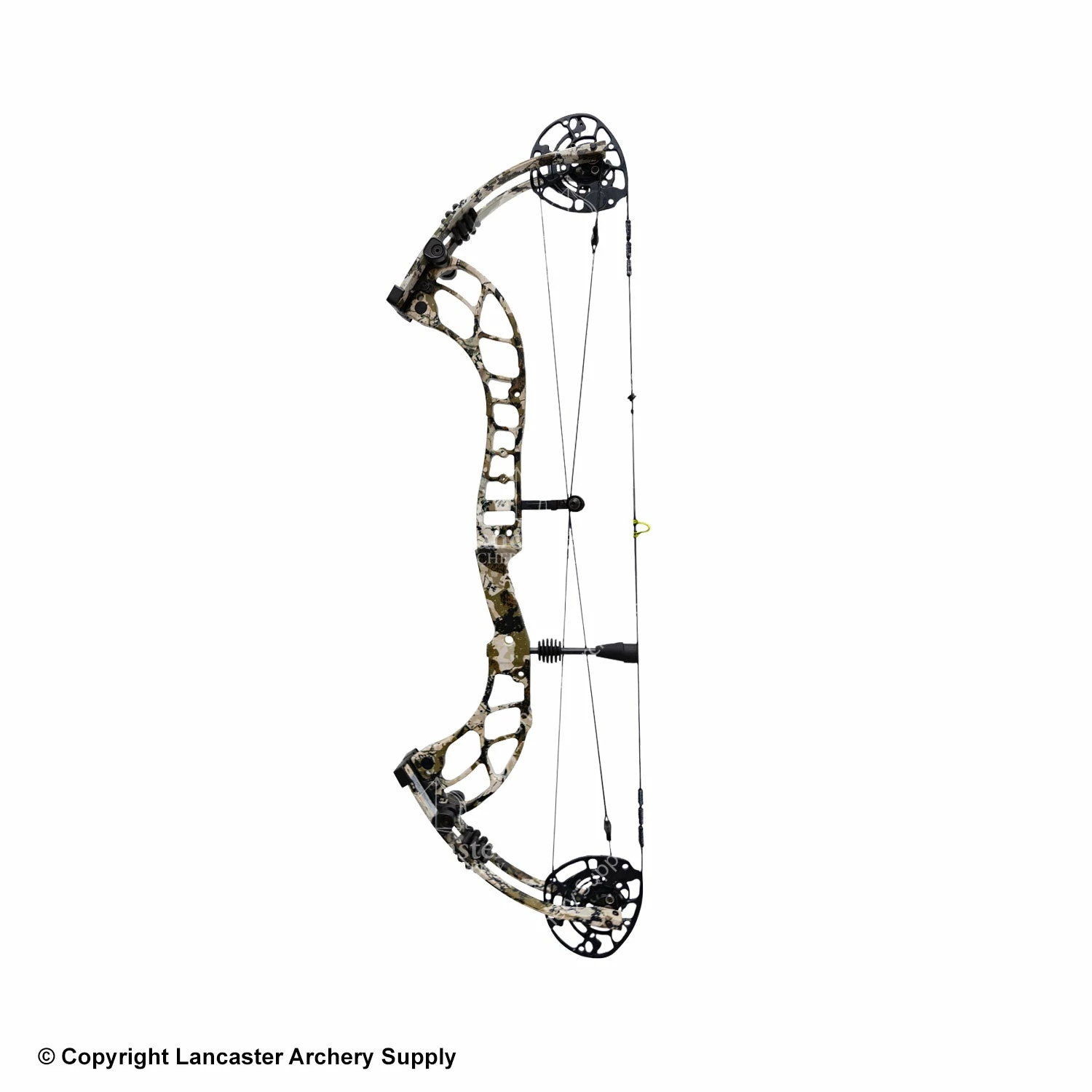 Darton Archery Darton Veracity 35 Compound Bow