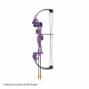 Bear Archery Bear Brave Bow Set (Flo. Purple)
