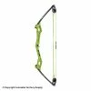 Bear Archery Bear Apprentice Compound Bow