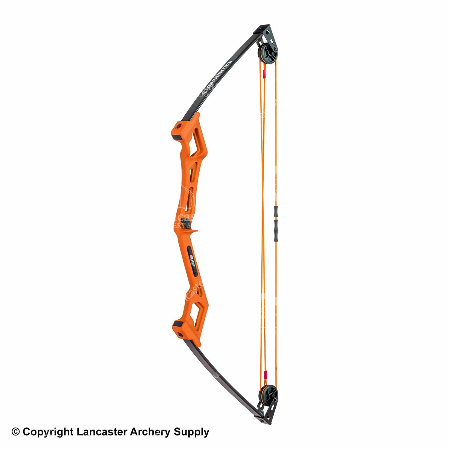 Bear Archery Bear Apprentice Compound Bow - Image 2