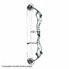 Bowtech Reckoning Compound Bow