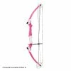 Genesis® Archery Genesis Archery Original Genesis Bow (Pink)