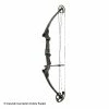 Genesis® Archery Genesis Archery Original Genesis Bow Kit (Carbon)