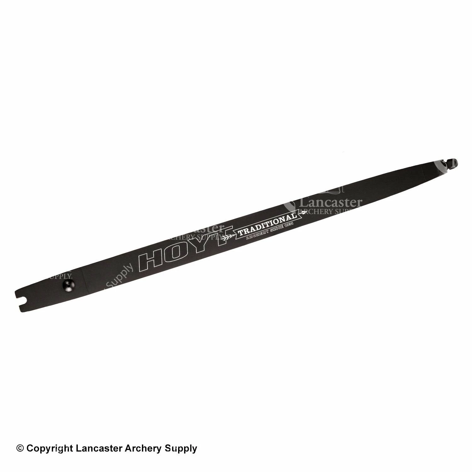 Hoyt Satori Traditional ILF Recurve Limbs