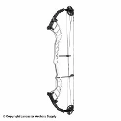 2021 Hoyt Altus 38 Compound Target Bow DCX Cam (Clearance X1033088)