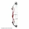 2021 PSE Citation EM Compound Target Bow