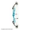 2021 PSE Citation SE Compound Target Bow