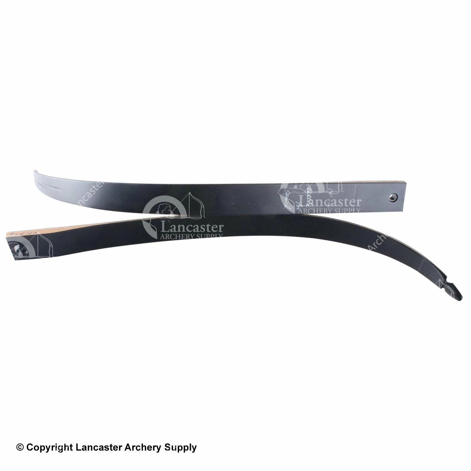 Samick Galaxy Little Fox 54" Limbs Only