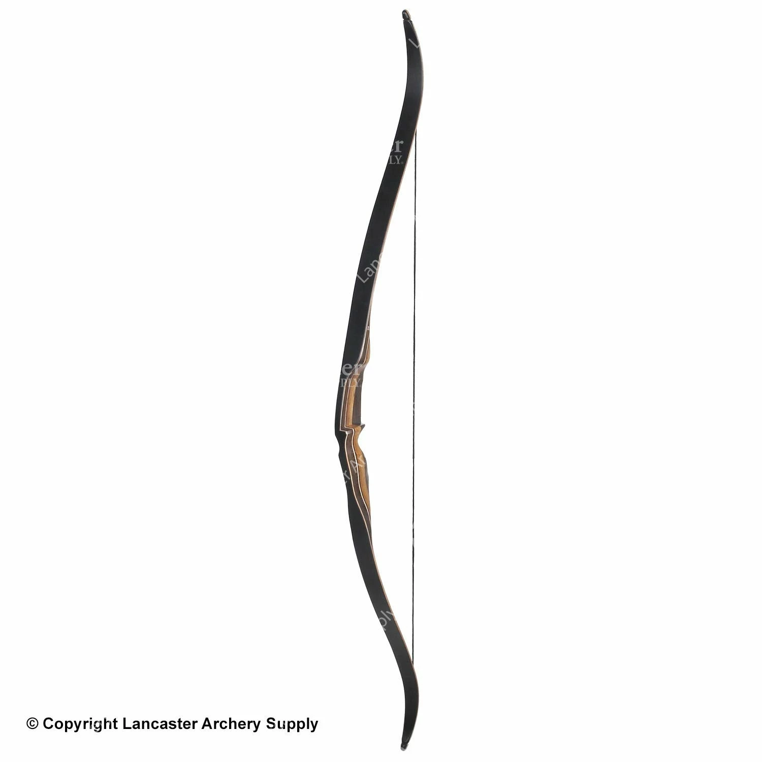 Galaxy Archery Sage One-Piece Recurve Bow