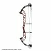 Hoyt Altus 38 Compound Target Bow (SVX)(Clearance X1032769)