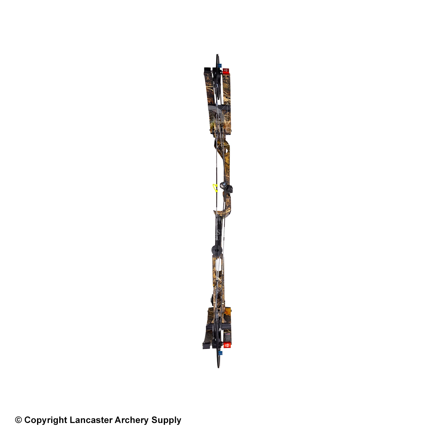 Bowtech CP30 Compound Hunting Bow - Image 4